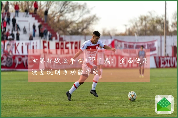 世界杯投注平台APP下载：全面使用场景说明与功能介绍
