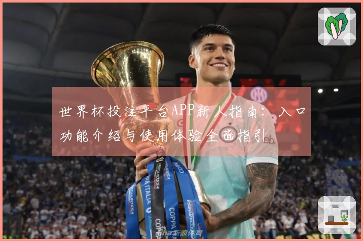 世界杯投注平台APP新人指南：入口功能介绍与使用体验全面指引