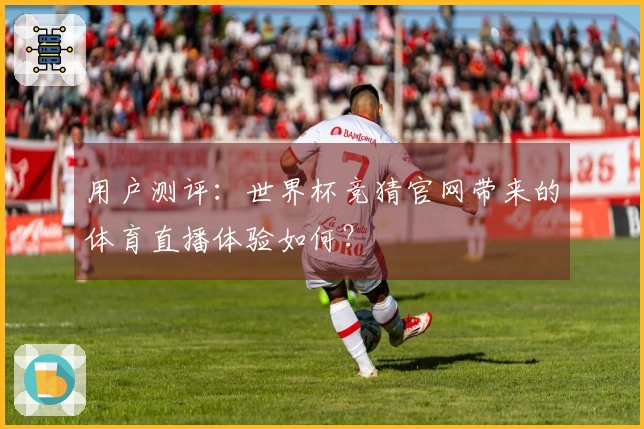 用户测评：世界杯竞猜官网带来的体育直播体验如何？