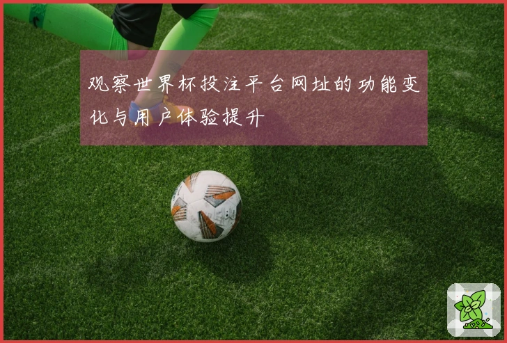 观察世界杯投注平台网址的功能变化与用户体验提升