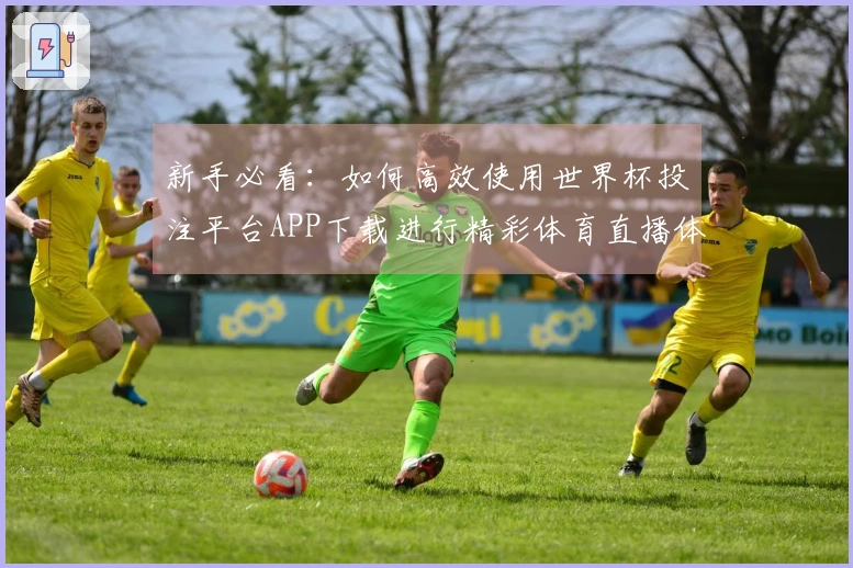 新手必看：如何高效使用世界杯投注平台APP下载进行精彩体育直播体验
