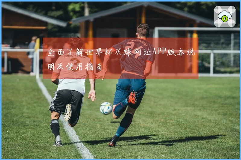 全面了解世界杯买球网址APP版本说明及使用指南