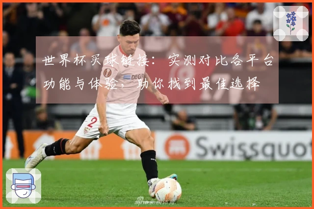 世界杯买球链接：实测对比各平台功能与体验，助你找到最佳选择