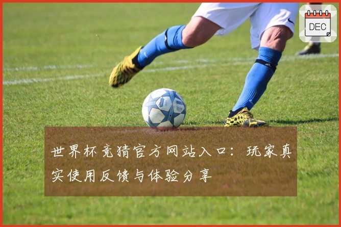 世界杯竞猜官方网站入口：玩家真实使用反馈与体验分享