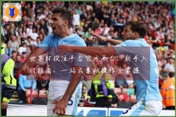世界杯投注平台官方平台：新手入门指南，一站式基础操作全掌握
