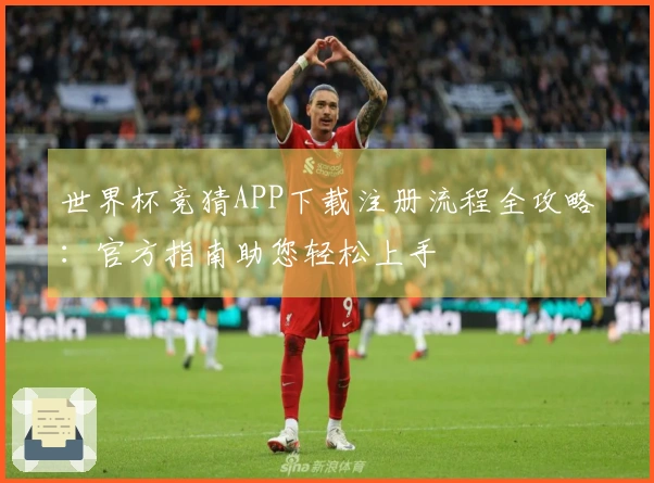 世界杯竞猜APP下载注册流程全攻略：官方指南助您轻松上手