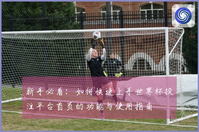 新手必看：如何快速上手世界杯投注平台首页的功能与使用指南