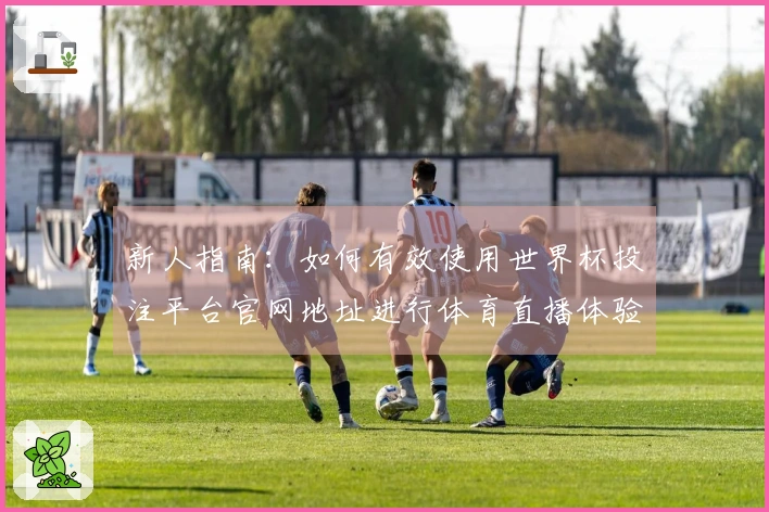 新人指南：如何有效使用世界杯投注平台官网地址进行体育直播体验