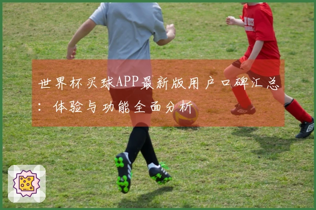 世界杯买球APP最新版用户口碑汇总：体验与功能全面分析