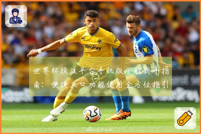世界杯投注平台手机版下载新手指南：便捷入口功能使用全方位指引