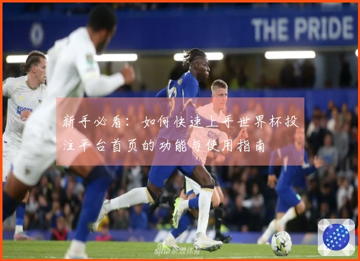 新手必看：如何快速上手世界杯投注平台首页的功能与使用指南