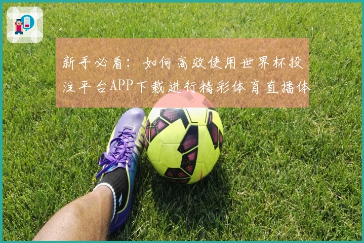 新手必看：如何高效使用世界杯投注平台APP下载进行精彩体育直播体验