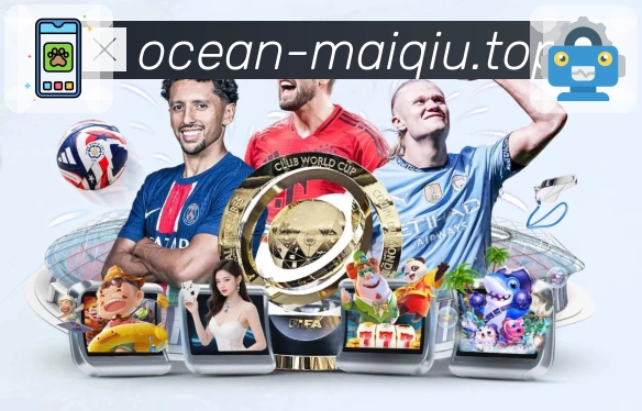 买球站APP 封面图